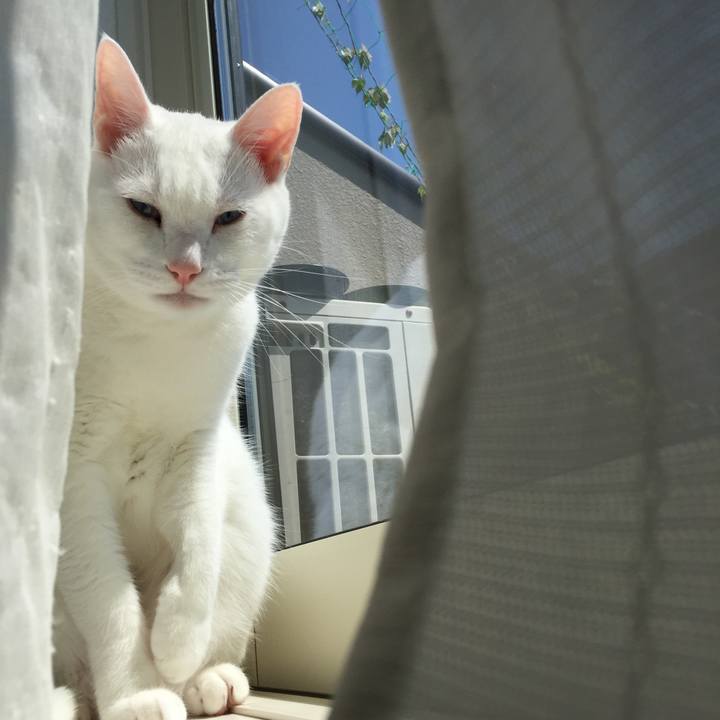 25eed573 b33e 4635 b392 1b433ec14c42