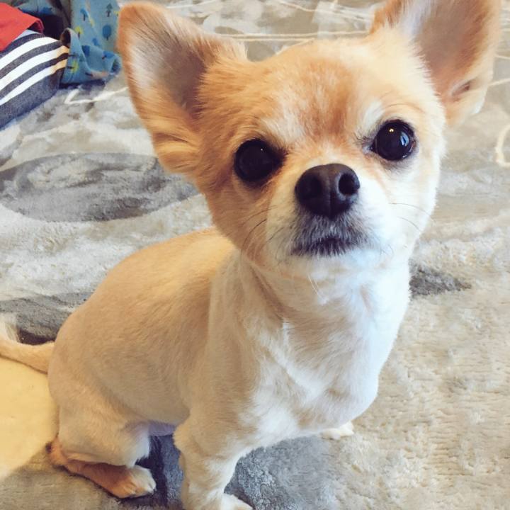 25ef8886 5c3f 46a6 908b b2bf3af6b002