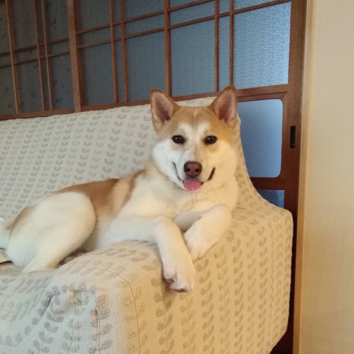 25f05890 836f 4c40 8def 2cd5dc53a9af