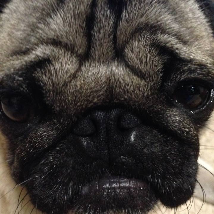 25f05ae3 d018 40c0 9e8a 677e2a7832dd