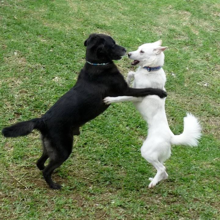 25f05f6c dee0 4062 ad93 51574921d360