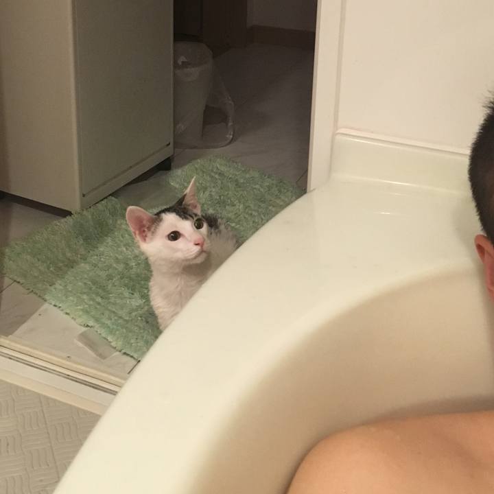 25f193a8 023e 4c4d 9870 6c70ebdae950