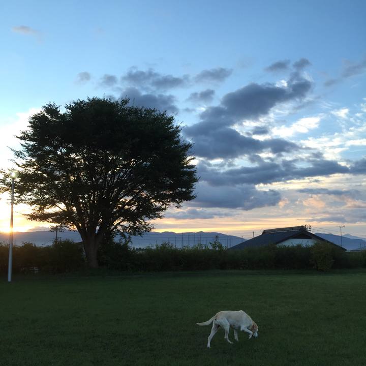 25f21bf8 2cd9 4d27 933c 5facdd765245