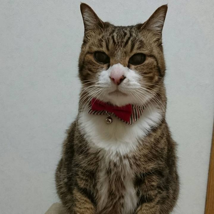 25f2aa9d ca0f 4706 b2db 8353eb5f96f1