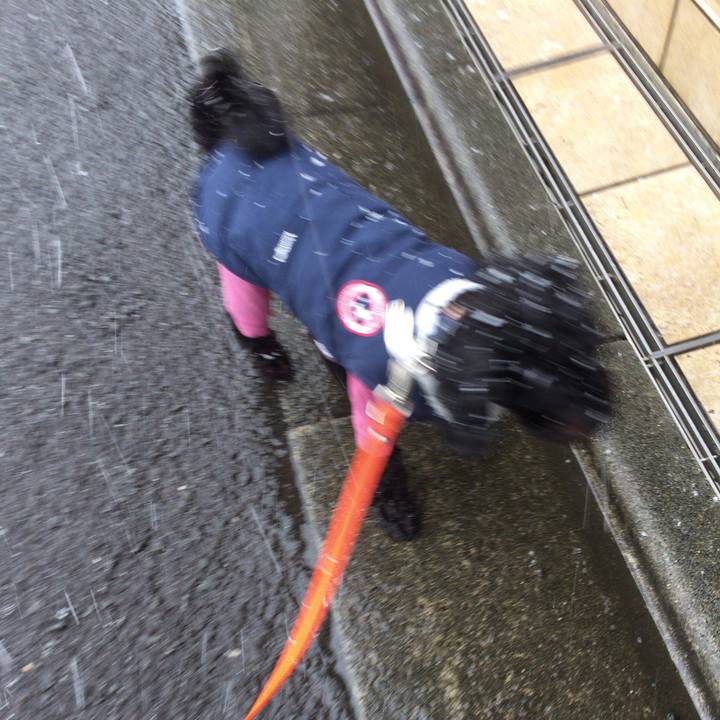 25f2ba3c e63b 426a bb4a d47c3acd374f