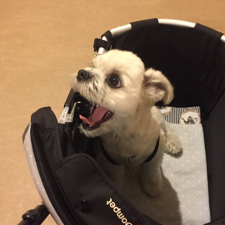 25f2d390 a66d 424b 953d feea3e320110