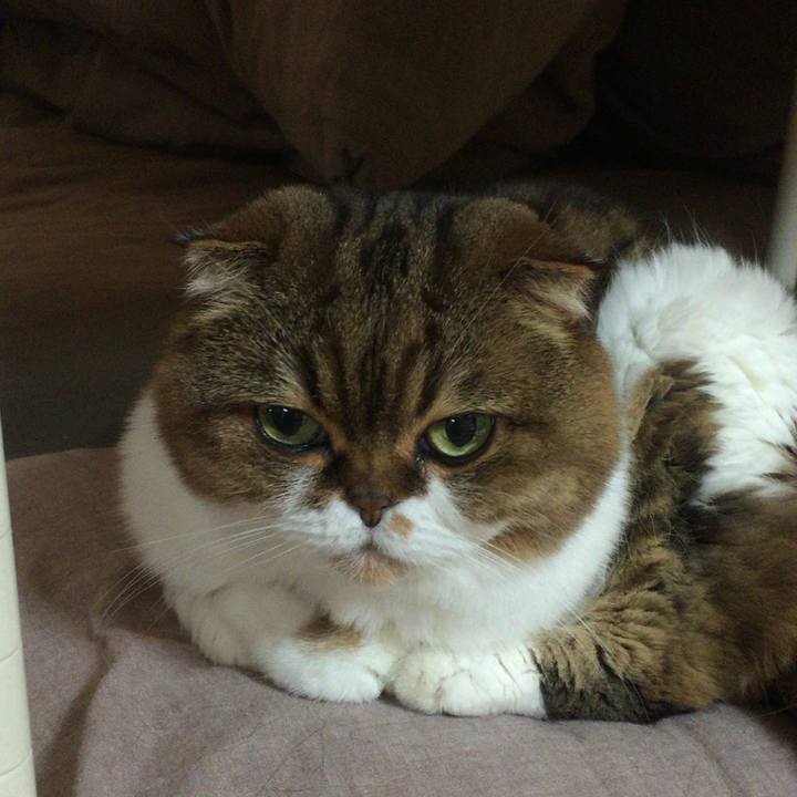 25f32121 cfd2 4cb0 94a2 a72fedc2c2e3