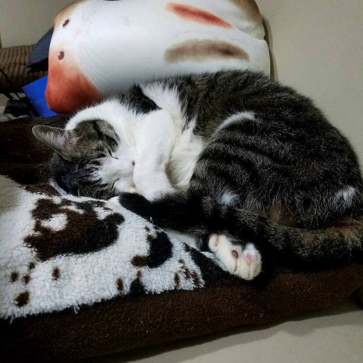 25f35e95 2003 43b0 957d e1b22a6cb3b3