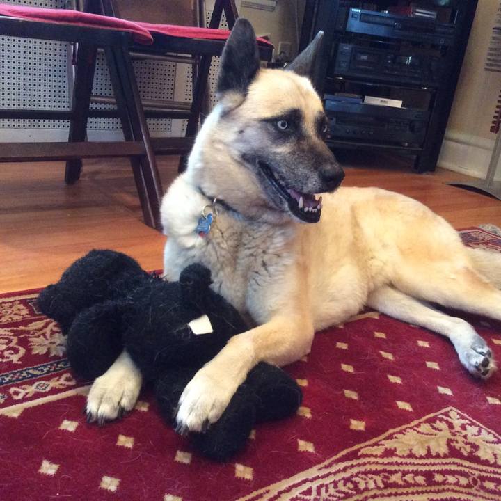 25f37d70 cfe6 4d18 9e9b 443adda08b04