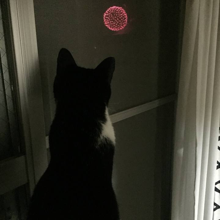 25f3828c 3878 425f 841f 0cd447e4f5f0