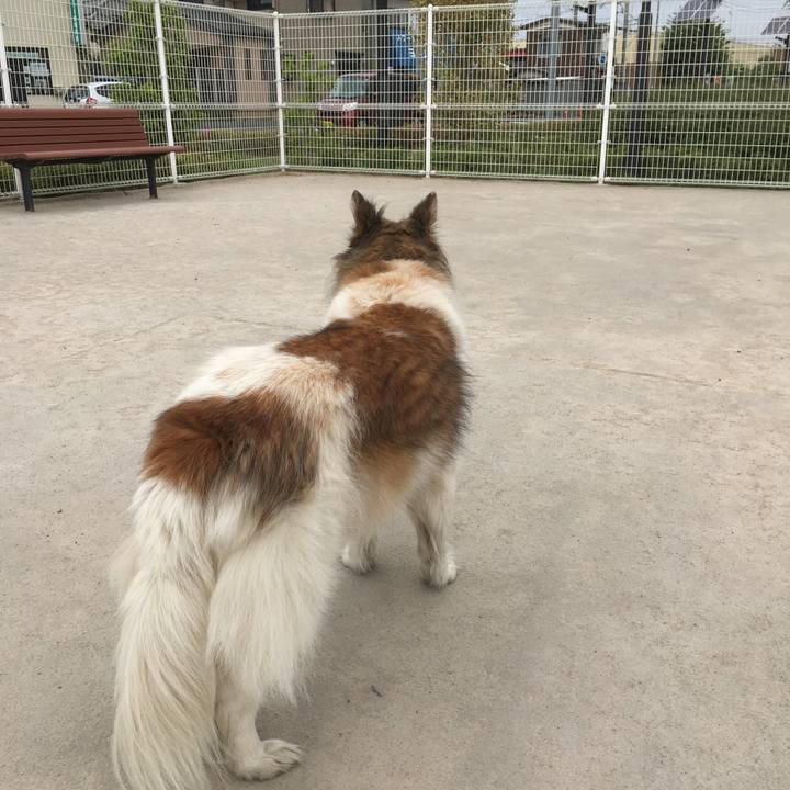 25f3b2fc 12e3 4100 9b85 eb0d07949fac