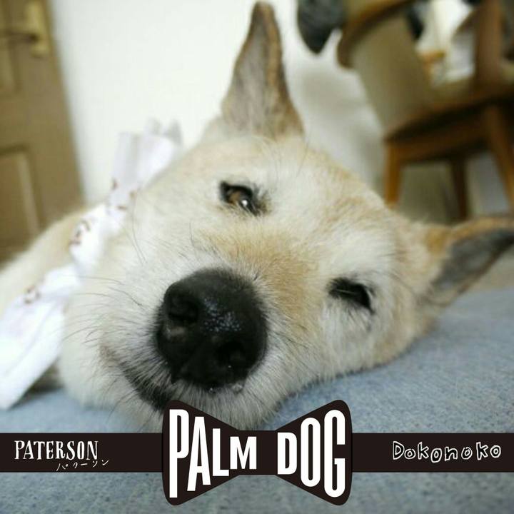 25f4b39e 5d62 49f2 9407 b8689283bb8a