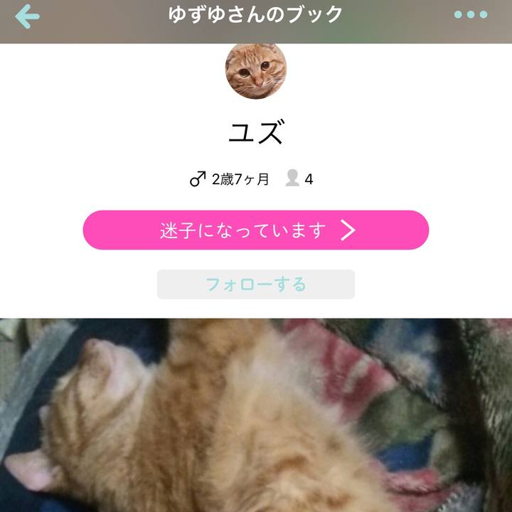 25f5a7b5 5d68 4923 8714 0e761614df32