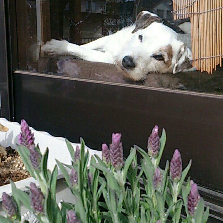 25f62c79 d646 44fe af4d 01339bf6332e