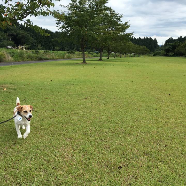 25f696c9 65b0 473b b176 4bb1f9bbf343