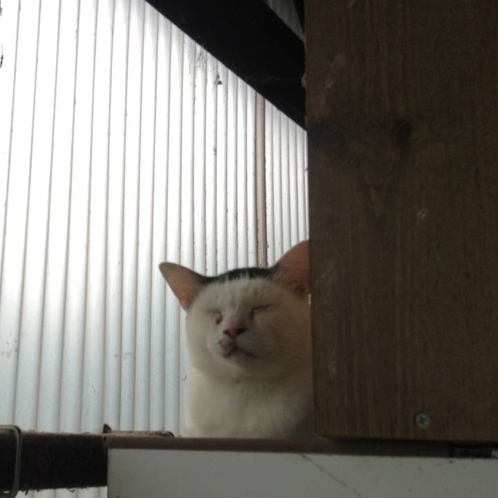 25f728b3 e92a 4821 835a 014b0d09aad1