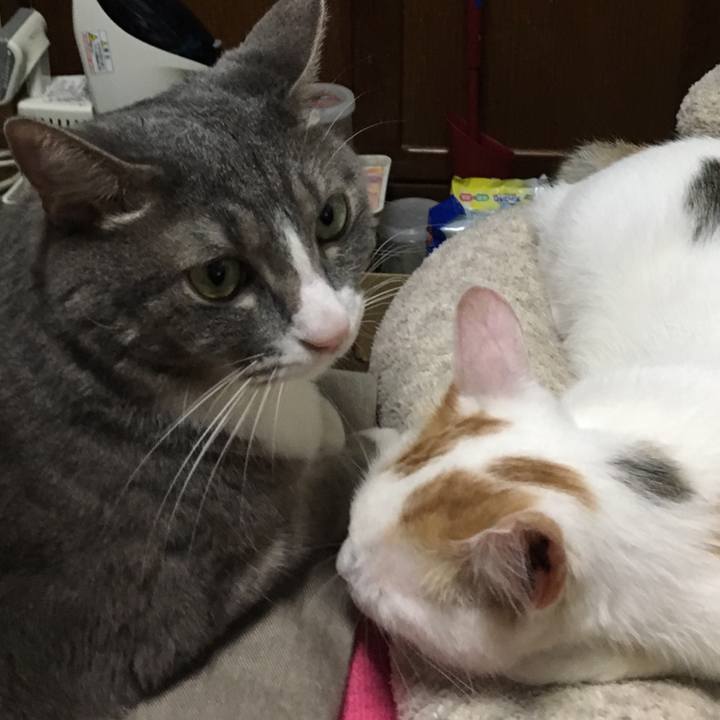 25f72fd4 6721 4923 a554 270713b51747