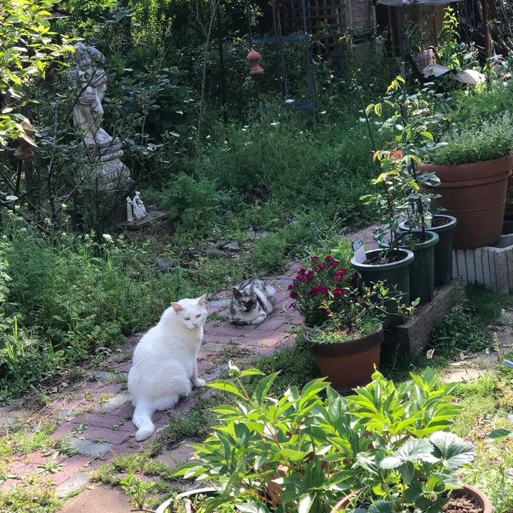 25f8038d 71ed 4a03 ab01 b7861127c6c7