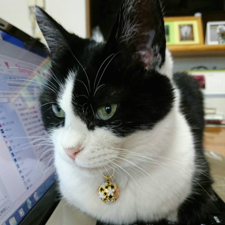 25f87b52 429d 4dea 80ce 41f98b9691d5