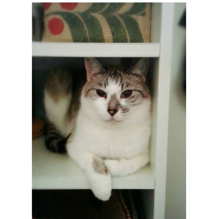 25f950bb fc6c 40a0 a446 9996134baeae