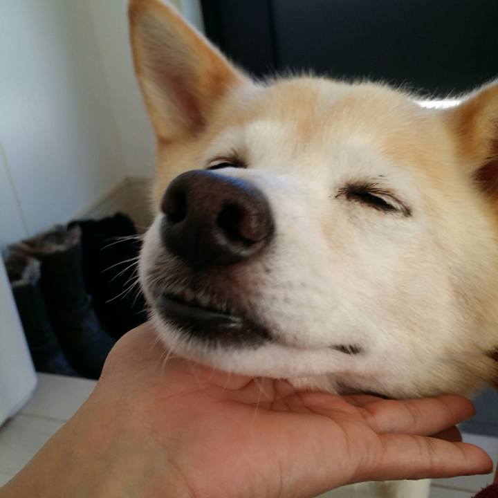 25f98329 3eed 43d5 b1d3 bc23fbc7db95