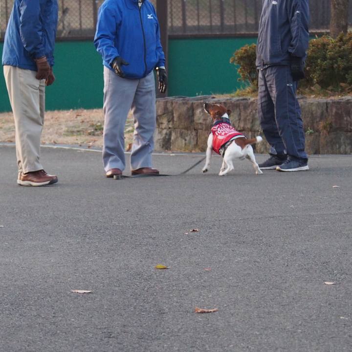 25f98c3f 910a 4763 94a1 ea9cb082c40e