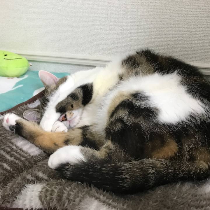 25fa57e0 d60b 463f a322 3e3eb6c37a11