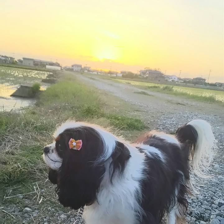 25faa29f f3a8 4104 b594 045ac3fe457f