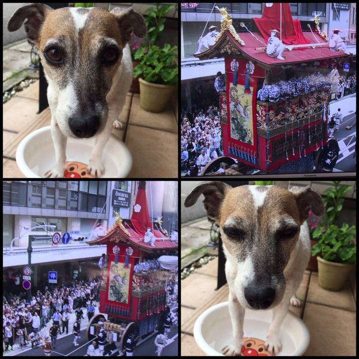 25fb0f45 b0d5 40cb b713 9ffc0d30f6dd