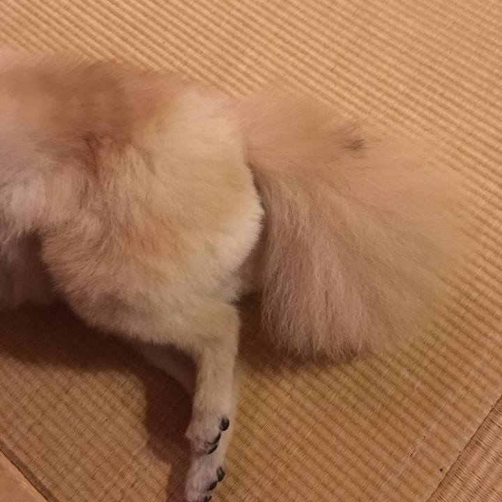 25fbc8a2 2f6a 41e1 b7f2 d5188ec28675