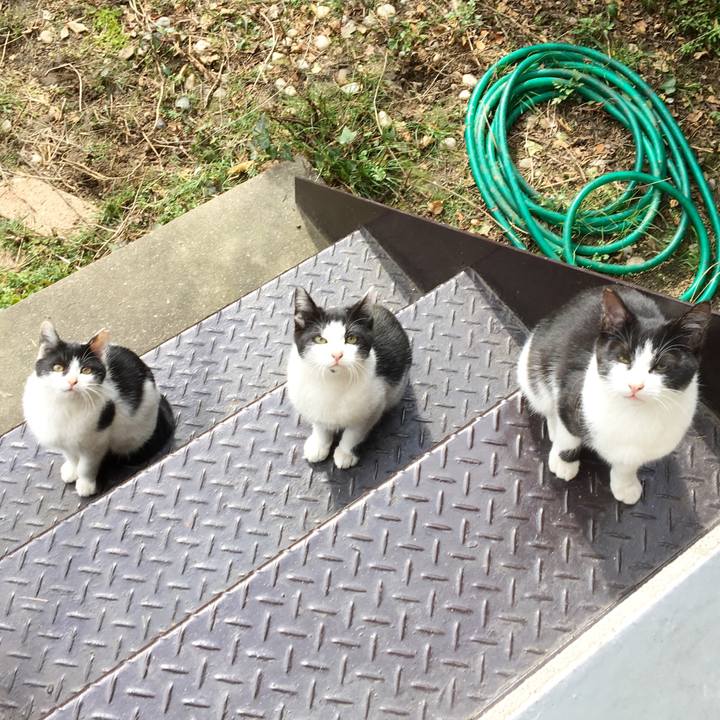 25fcdc9c 0a12 4662 8fb6 e1ae6ea2cb59