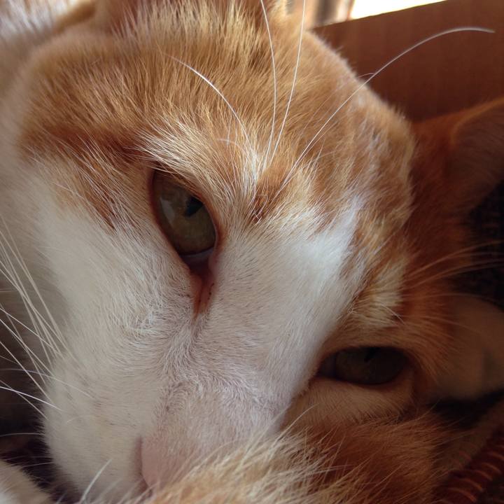 25fcdd9f fe98 4920 9848 32e2eb5dfbcb