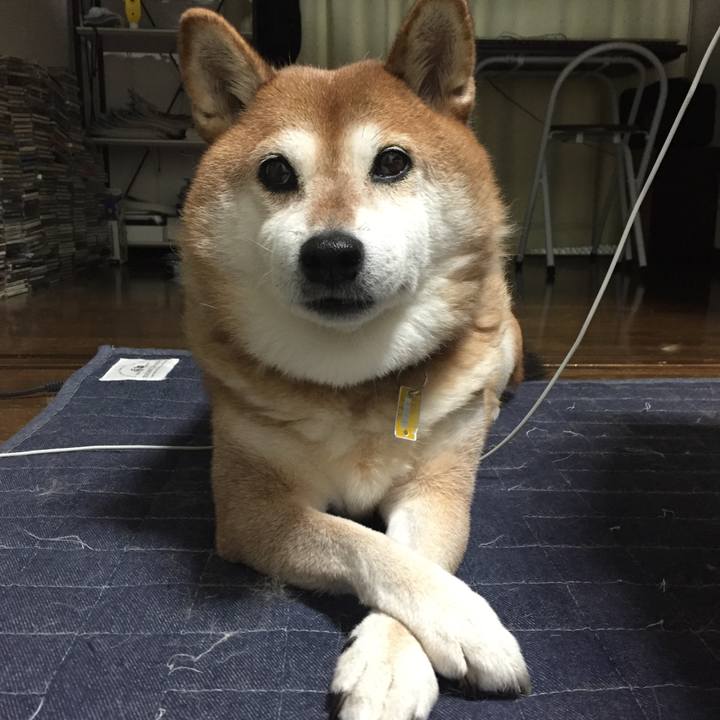 25fd4ce4 a8f9 44e9 9ddc 3ec67c93eabe