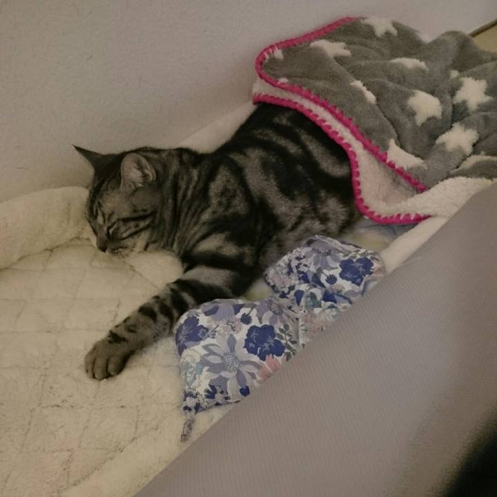 25fd6852 7680 4354 89cd 5c9fd572b44f