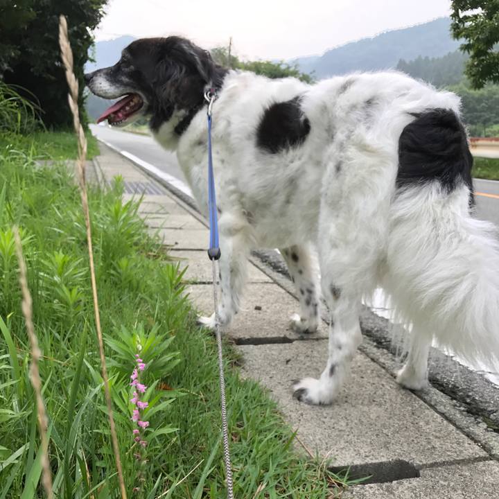 25febf2b 31eb 49ad beec b70328a382fa