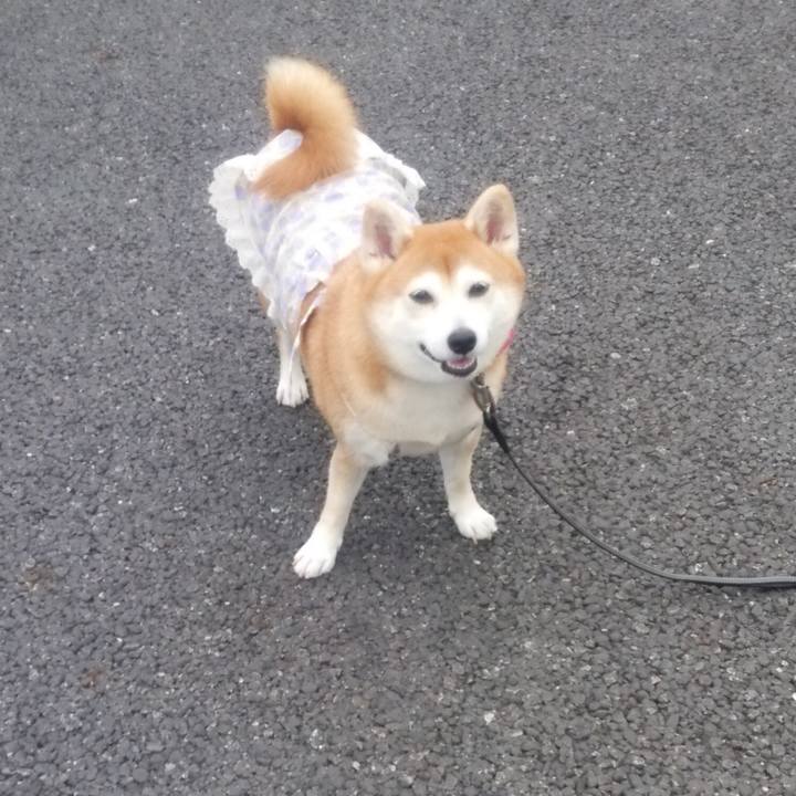 25ff24c8 72f0 41c8 bd88 863cc9c0d165