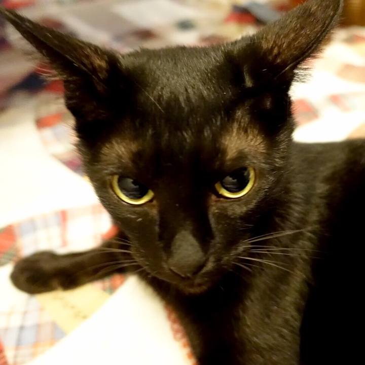 25ff35d3 5870 47fd bbd4 d8abfced1fbc