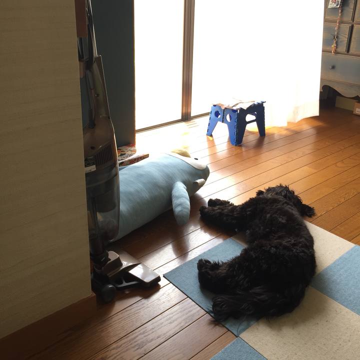 25ff8c08 af91 49f7 bc75 8cb26fe94118