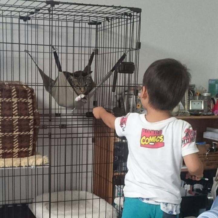 25ff9d30 c4f3 43ff bfd9 dcae5eed1c9f