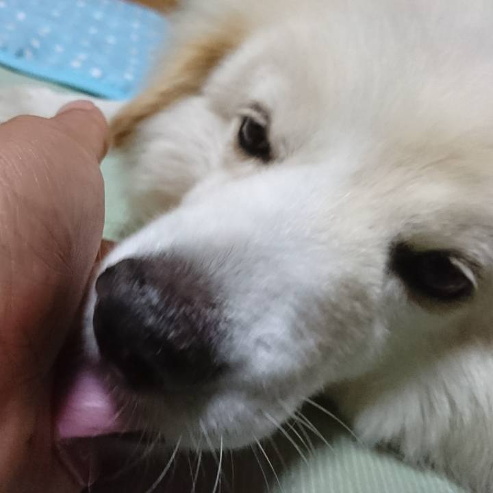 25ffcc3c 557a 4112 b4b3 e6b278f01611