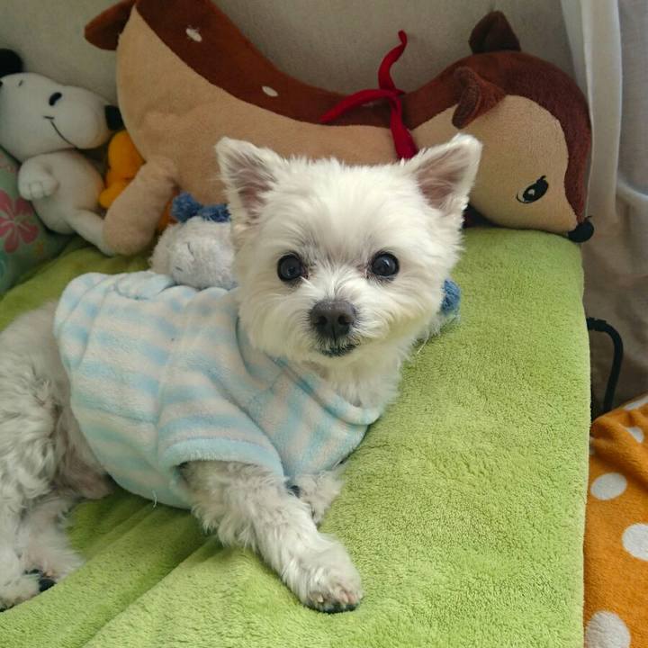 2600cfbe 211a 4b4c a34f a08e4d06acf2