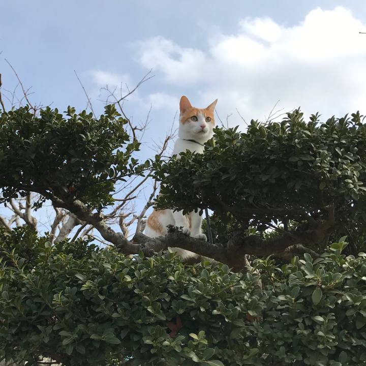 2602b9ce 61e5 4d8f b5b8 907ccd1a2c57