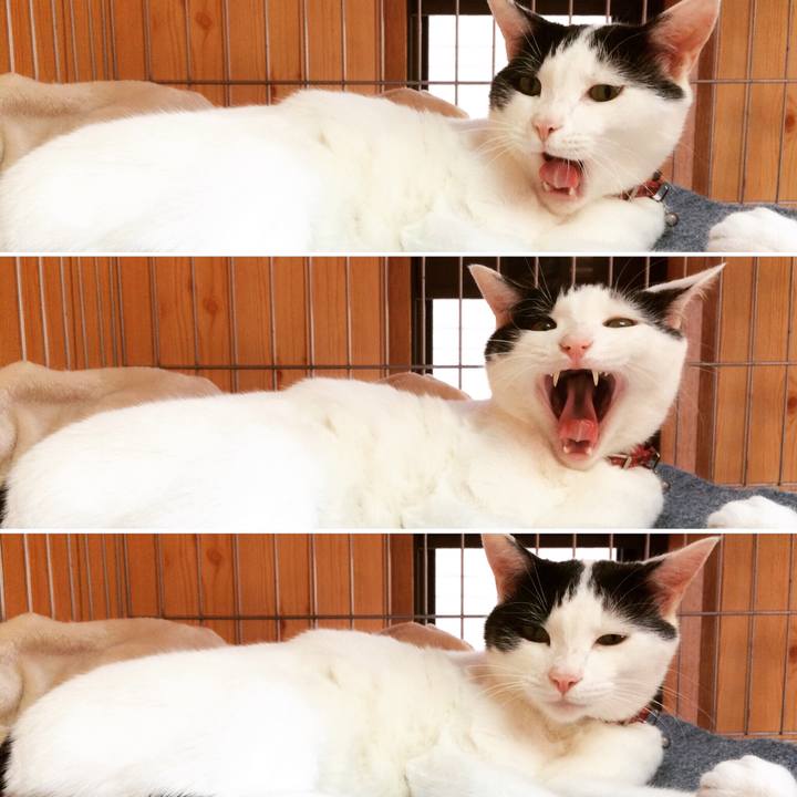 2602fd56 7da4 48df 8322 406a78bf5c6a