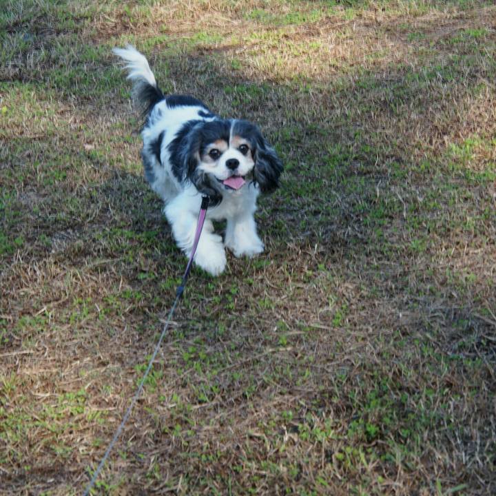 26032050 5e1a 4f27 955d d9dcb7e29e02