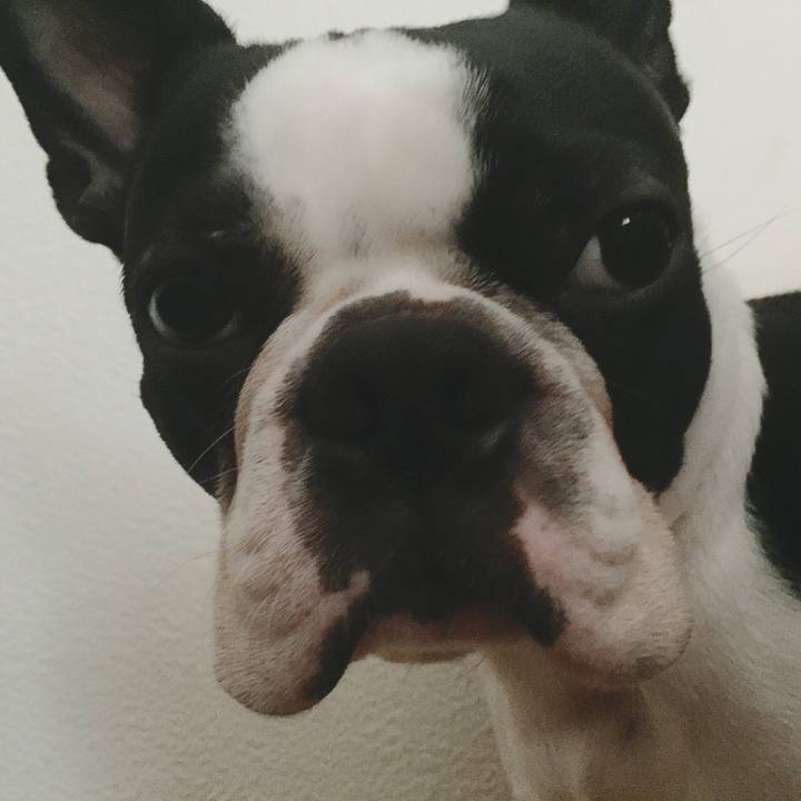 2603479c e036 4012 85f8 5e8fe0a82715