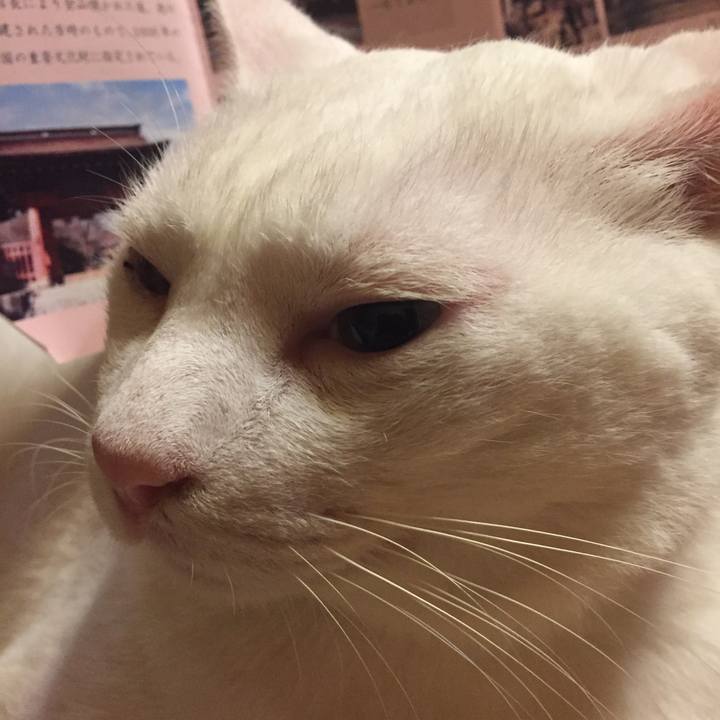 2603fcf6 fcdb 46d0 8771 3c21d28eafb2