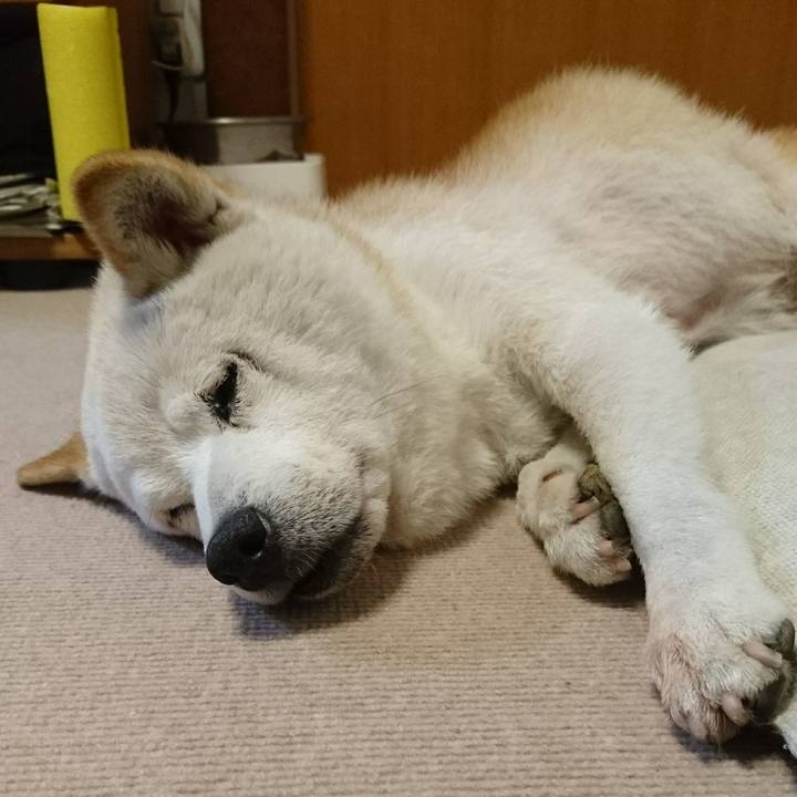 26040dbc 9193 44f3 8775 9d9b43ae5a1d