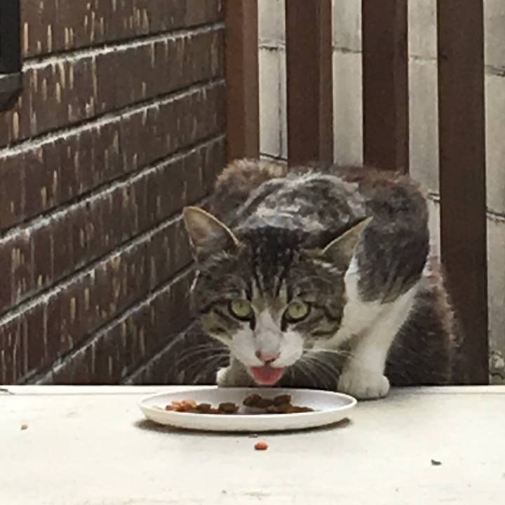 260482af 2a2b 42ac a769 edba853ae481