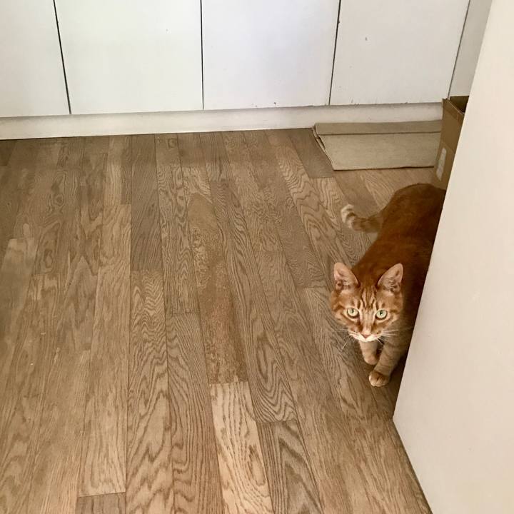 2606ed8e 87f5 4ec4 89b9 16afd848556e