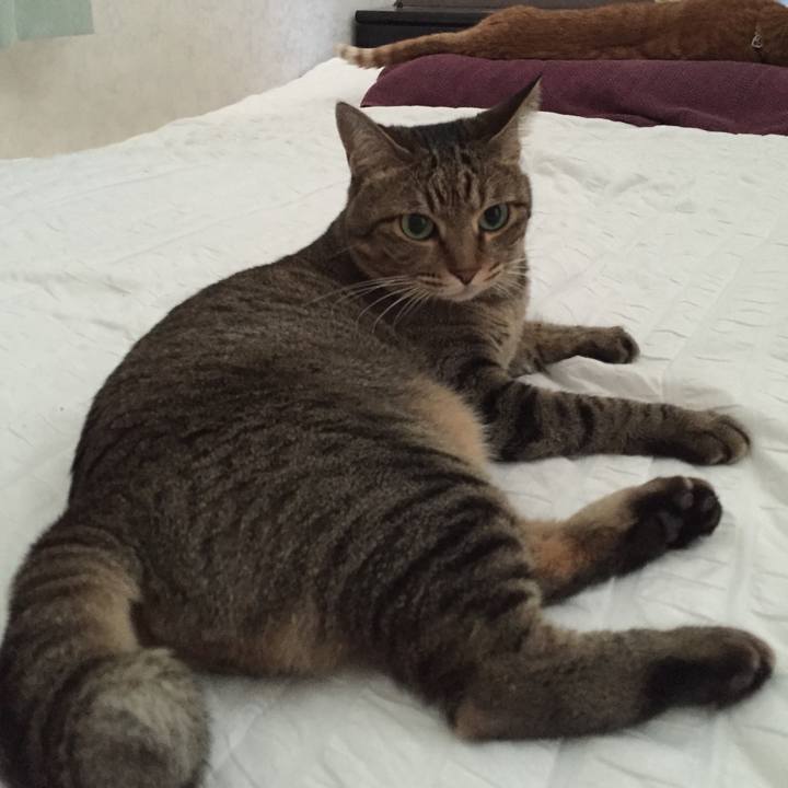 2606ff23 fdd2 4f4f b890 d203f888c2d2